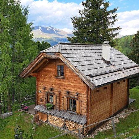 Chalet Bergliebe Turrach Turracher Hohe Extérieur photo